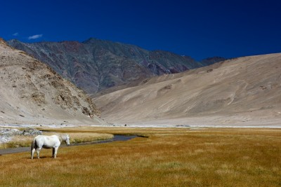 DVAR hosting exhibition in Mumbai